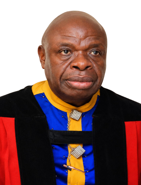 Sir Meg Ogbonna
